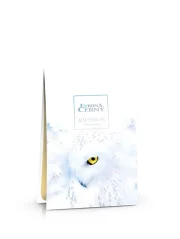 e 1217 Parfémová sašetka Aiwysnow 125ml