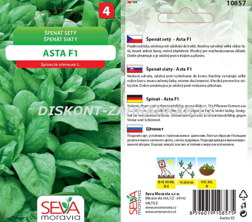 10857 Špenát setý Asta F1 5g /D