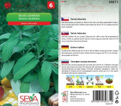 30371 Šalvěj lékařská 0,6g / 3703