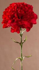 Karafiát 69 cm červený F401-R