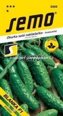 423052 Okurka Blanka F1 1,5g / 1803