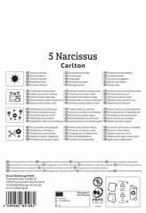 2450000/7604 Narcisy Carlton 5ks