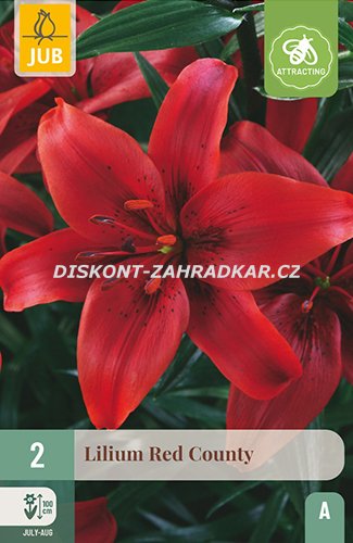 851097/8305 Lilie Red County 2ks