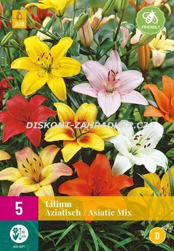 851297/8402 Lilie asijské směs 5ks