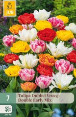 850243/8208 Tulipány plnokvěté rané směs 7ks