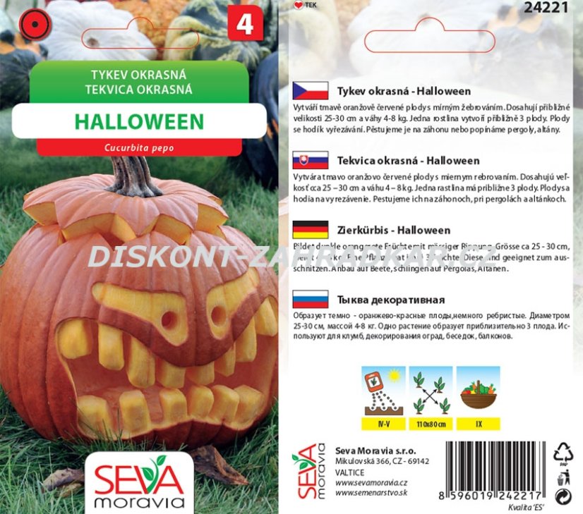 24221 okrasná tykvička Halloween 10s /D50