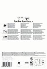 2000024/8505 Tulipány Golden Apeldoorn 10ks