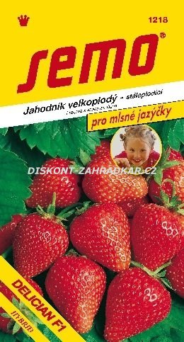 412182 Jahodník Delician F1 12s / 1206