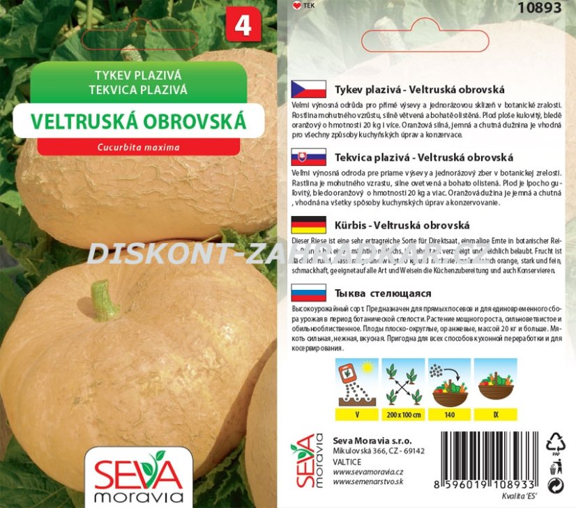 10893 Tykev Veltruská obrovská 10s / 3303