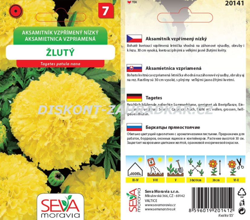 20141 Aksamitník vzpřímený nízký žlutá 0,6g /D