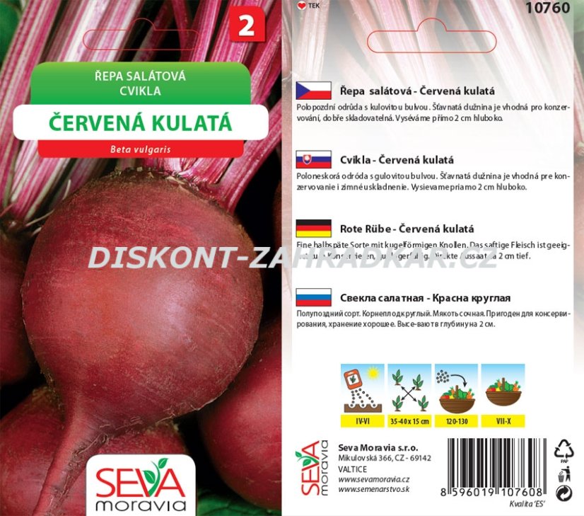 10760 Řepa sal. Červená kulatá 4g / 2903