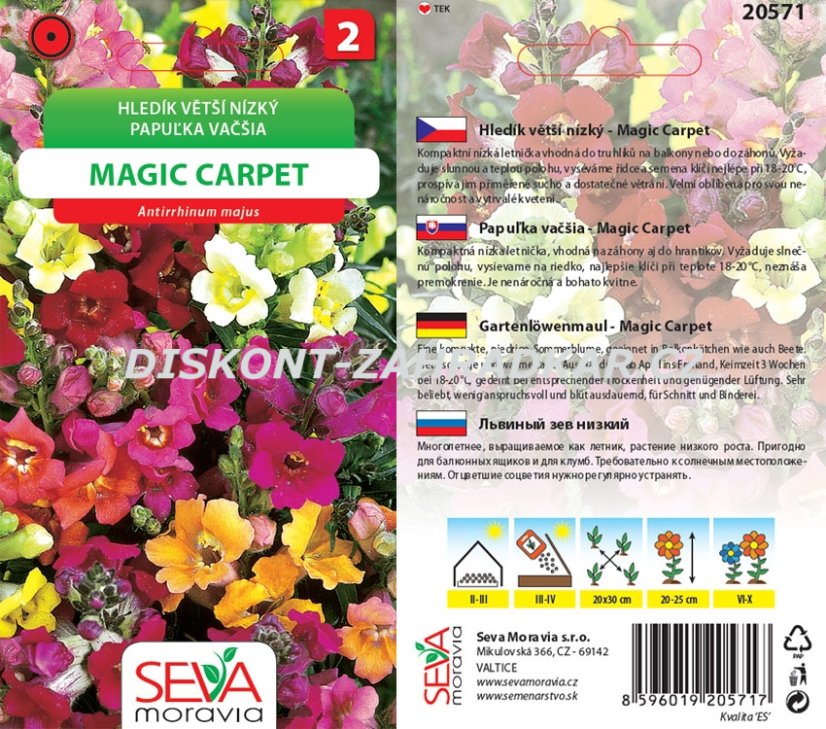 20571 Hledík Magic Carpet 0,2g / 4109