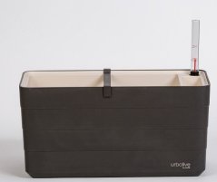 Truhlík Berberis 40 cm Antracit + slonová kost