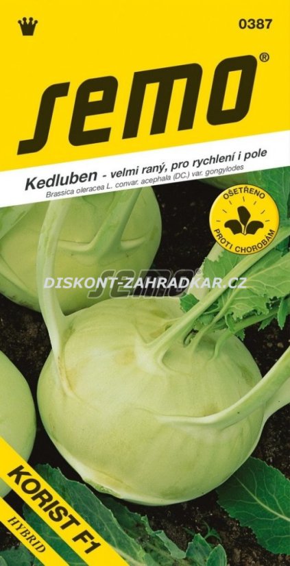 403872 Kedluben bílý Korist F1 40s / 1301