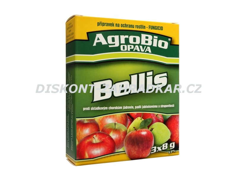 Bellis 3x8 g