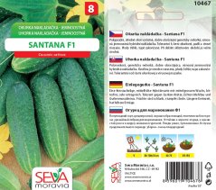 10467 Okurky F1 Santana 1g / 1801