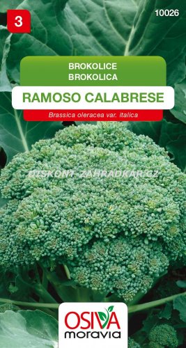 10026/1104 Brokolice Ramoso Calabrese 430 0,6g