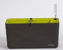 Truhlík Berberis 40 cm Antracit + zelená