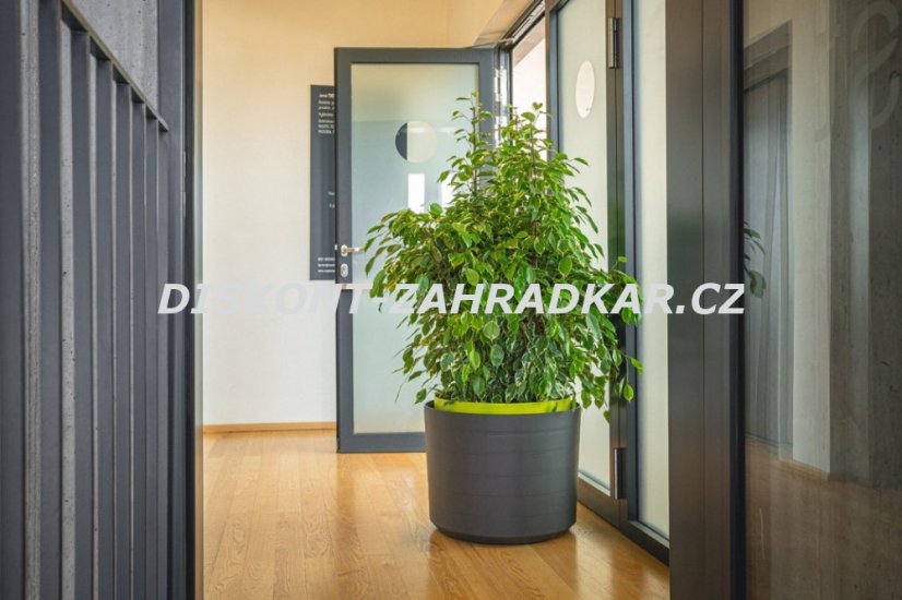 Samozavlažovací velkoobjemová nádoba Berberis 55 antracit+zelená