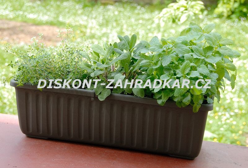 Samozavlažovací truhlík SIESTA LUX 60 cm - Čokoláda