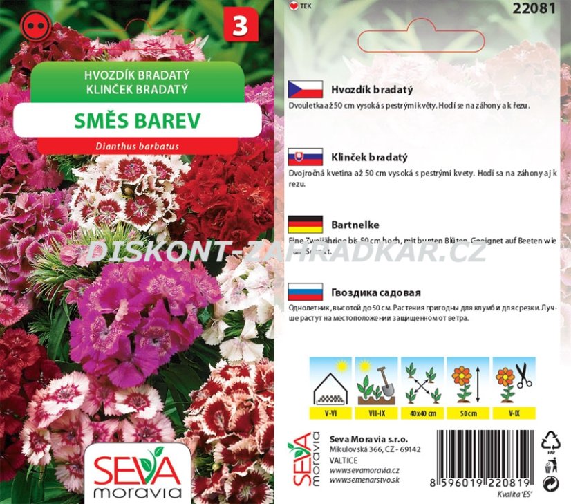 22081 Hvozdík bradatý Směs 0,5g / 4403