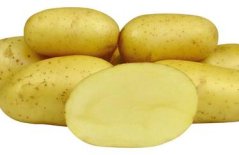 Sadba brambor COLETTE (pytel 25kg)