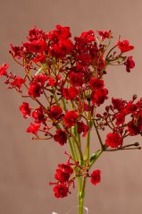 Gypso Spray 46 cm červená F406-R