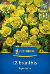 2775010/8402 Talovín zimní 12ks