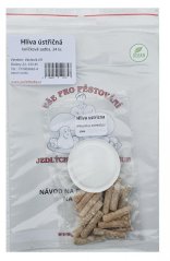 Hlíva ústřičná - kolíčková sadba 30ks