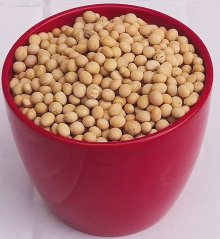 Cizrna  5kg VELKÉ BALENÍ