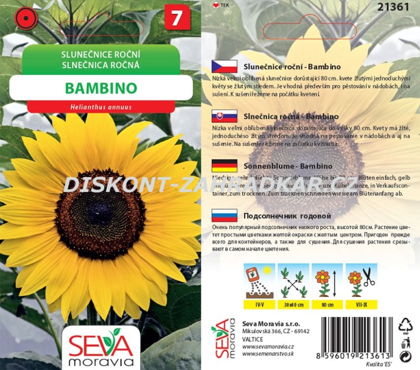 21361 Slunečnice nízké Bambino 1g / 4307