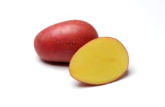 Sadba brambor LAURA (pytel 25kg)