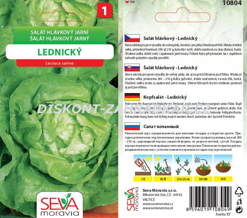 10804 Salát Lednický 0,5g / 3102