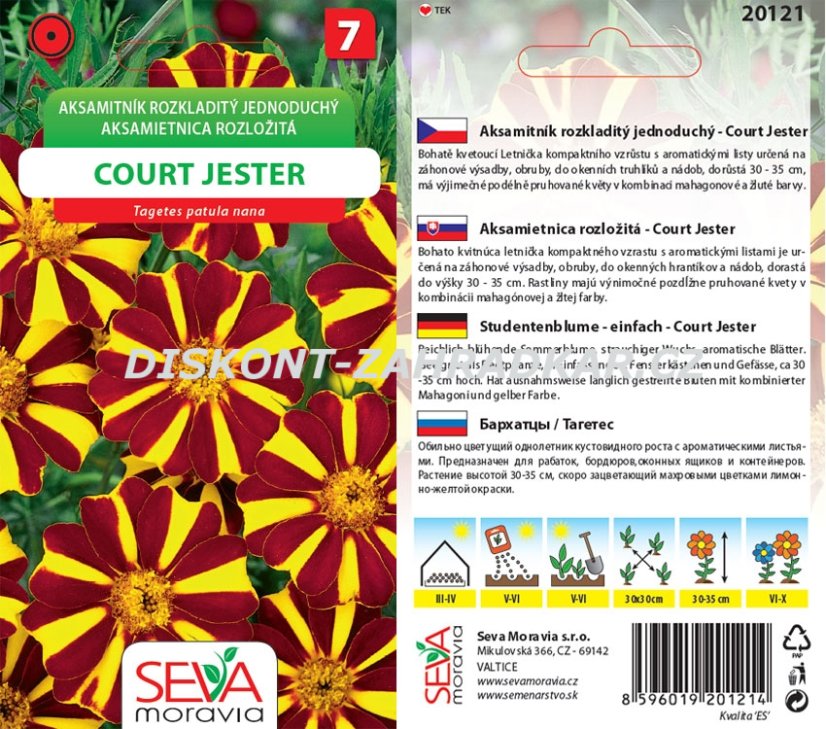 20121 Aksamitník Court Jester 0,3g / 3904