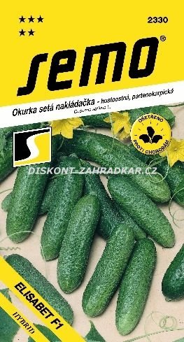 423302 Okurka Elisabet F1 1,5g / 1806