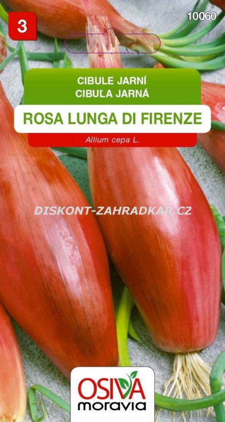 10060 Cibule Rosa di Firenze 1,5g / 1203