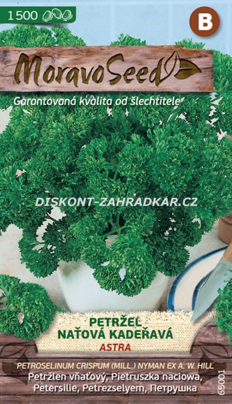 65001 Petržel naťová kadeřavá Astra 4g / 4407