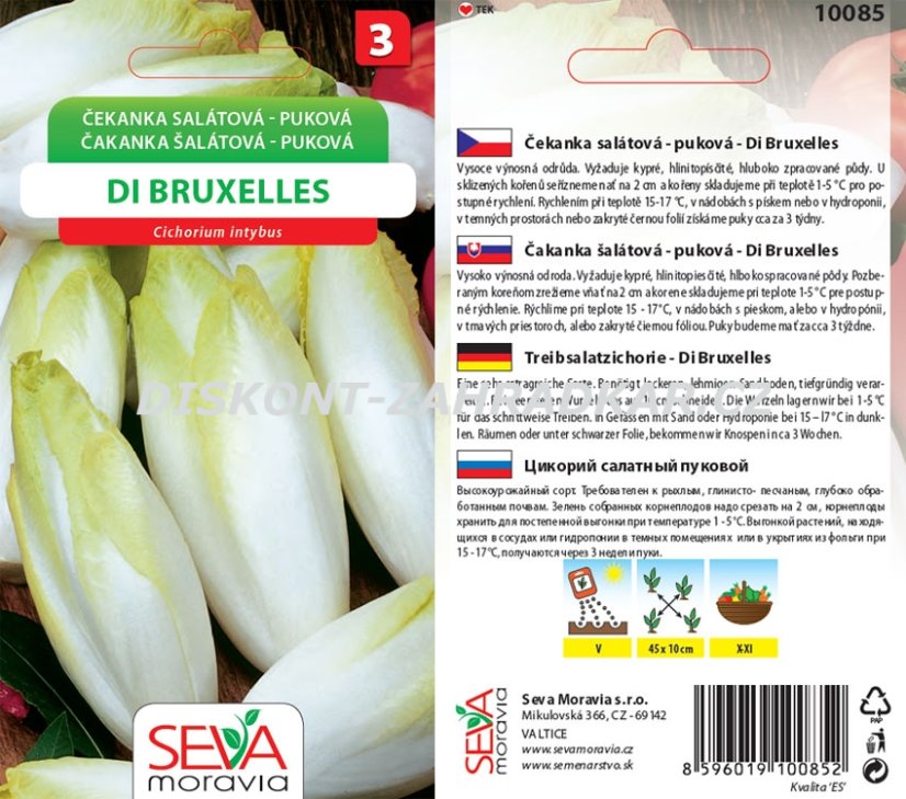 10085 Čekanka salátová Di Bruxelles 0,7g /D100