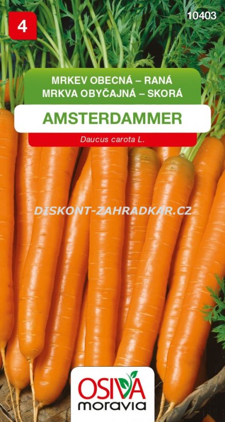 10403 Mrkev Amsterdammer 3g / 1604