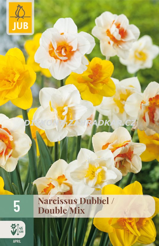 850435/7503 Narcisy plnokvěté směs 5ks 850435/7503 Narcisy plnokvěté směs 5ks