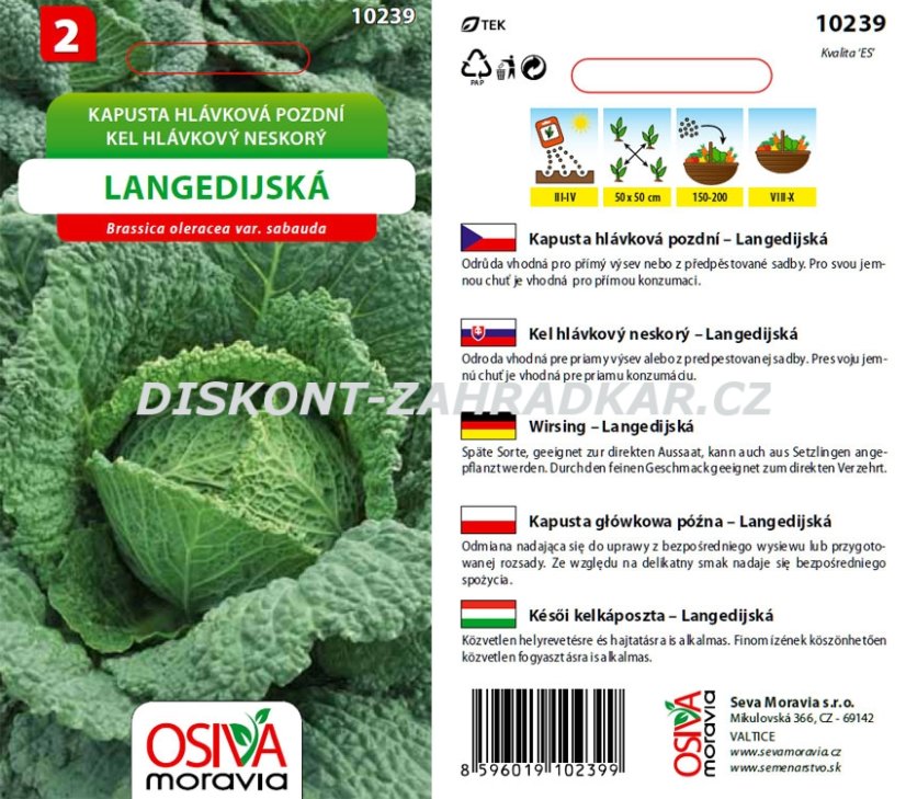 10239 Kapusta poz. Langedijská 0,8g / 1210