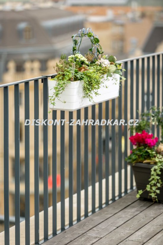 Truhlík Berberis 40 cm Bílá + zelená
