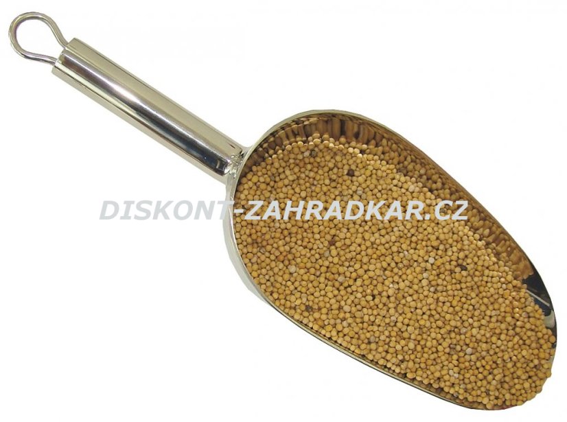 Hořčice setá 1kg (zelené hnojení) Hořčice setá 1kg (zelené hnojení)