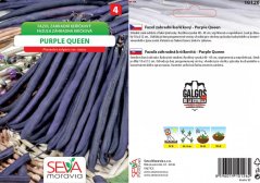Fazol keříčkový Purple Queen 250g ZAHRADNICKÉ BALENÍ
