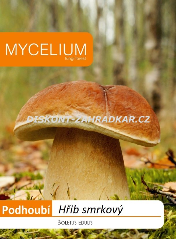 Hřib smrkový 10g