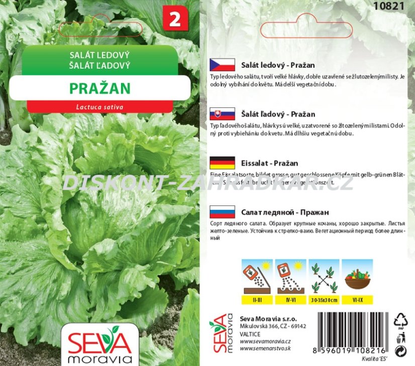 10821 Salát Pražan 0,3g / 3110
