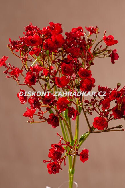 Gypso Spray 46 cm červená F406-R