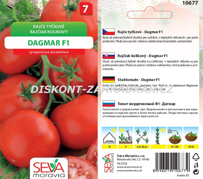 10677 Rajče F1 Dagmar 0,15g / 2604
