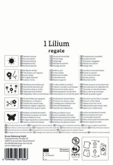 2750004/7504 Lilie Regale 1ks