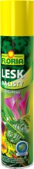 FLORIA/AGRO Lesk na listy spray 400 ml